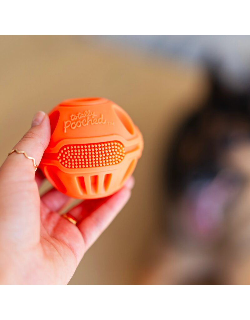 TOTALLY POOCHED Stuff'n Brush Ball 3"