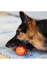 TOTALLY POOCHED Stuff'n Brush Ball 3"