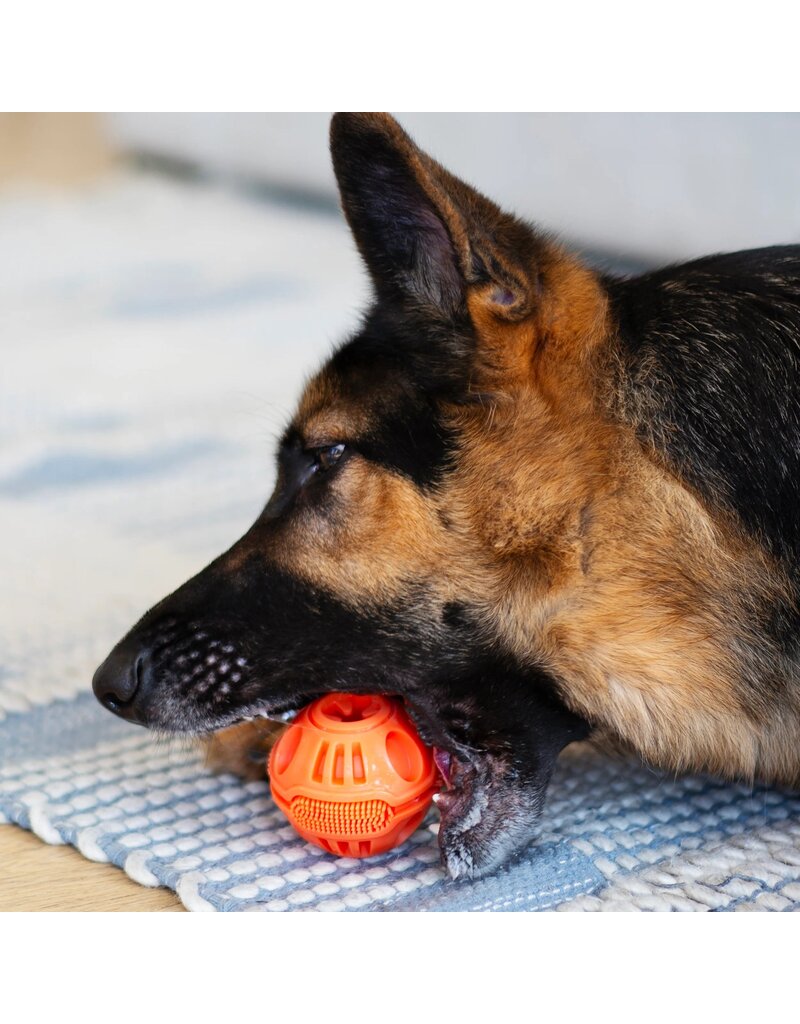 TOTALLY POOCHED Stuff'n Brush Ball 3"