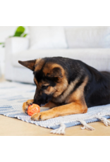 TOTALLY POOCHED Stuff'n Brush Ball 3"