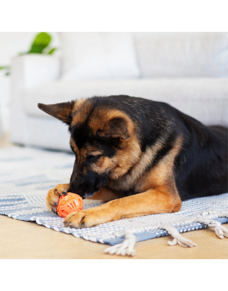 TOTALLY POOCHED Stuff'n Brush Ball 3"