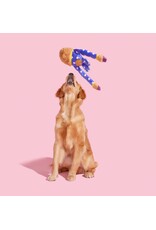 Bark Slow Jams Dan Dog Toy