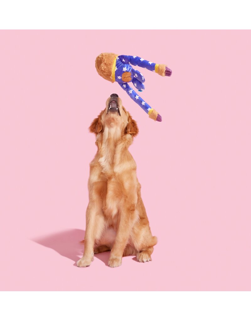 Bark Slow Jams Dan Dog Toy