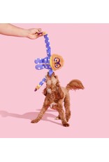 Bark Slow Jams Dan Dog Toy