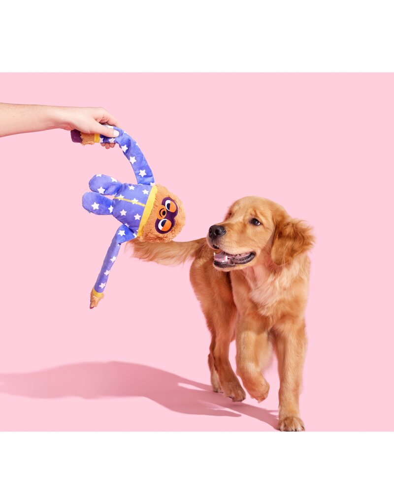 Bark Slow Jams Dan Dog Toy