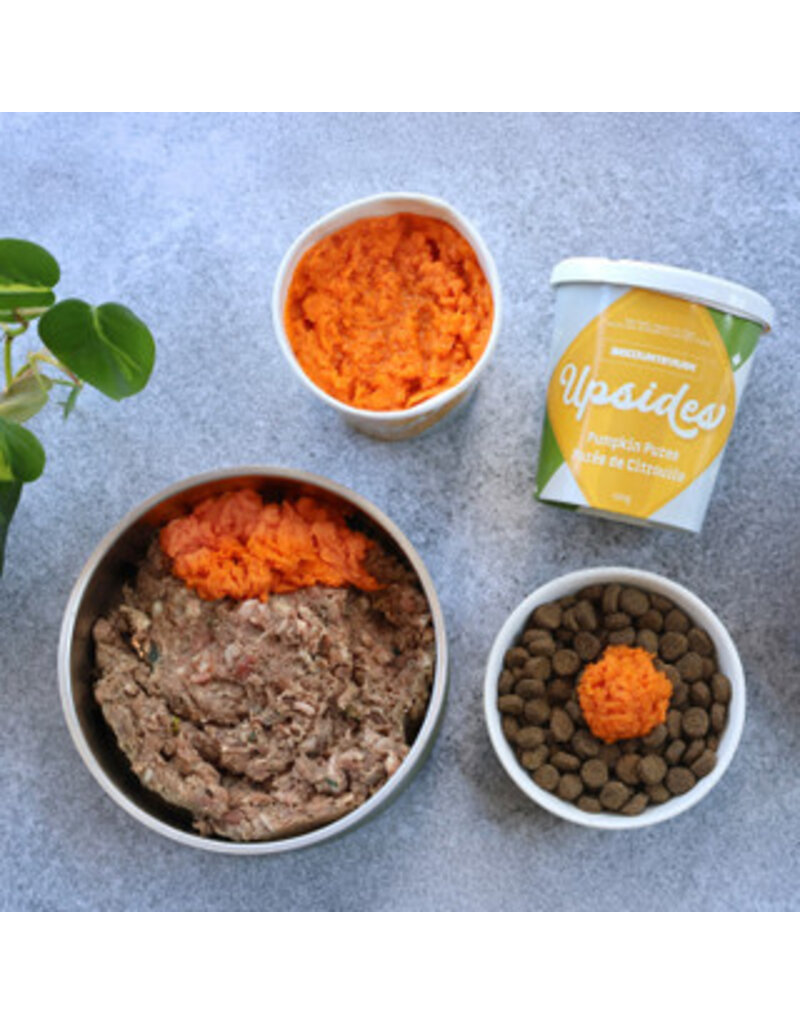 Big Country Raw Upsides Pumpkin Puree Topper 454 g