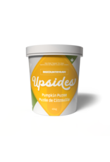 Big Country Raw Upsides Pumpkin Puree Topper 454 g