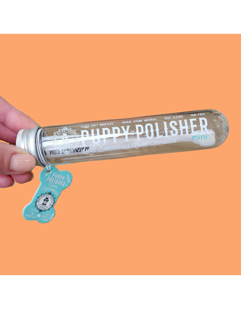 Wag & Bright Puppy Polisher Eco Toothbrush Mini/Small