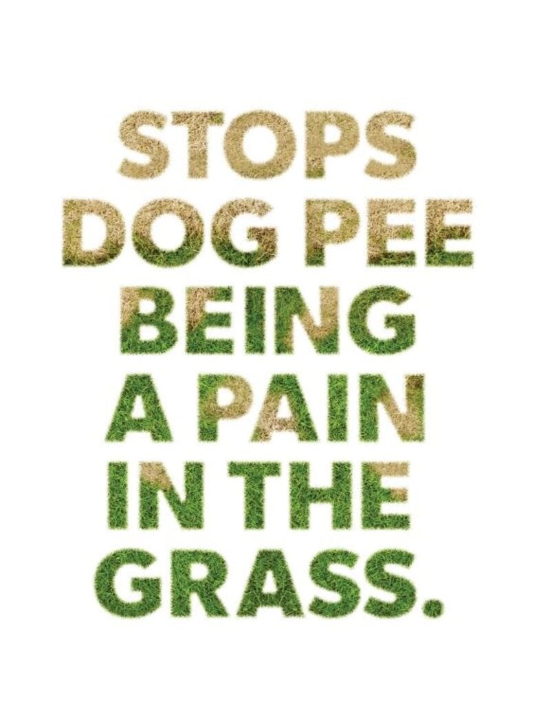 Dog Rocks Dog Rocks 200g