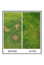 Dog Rocks Dog Rocks 200g