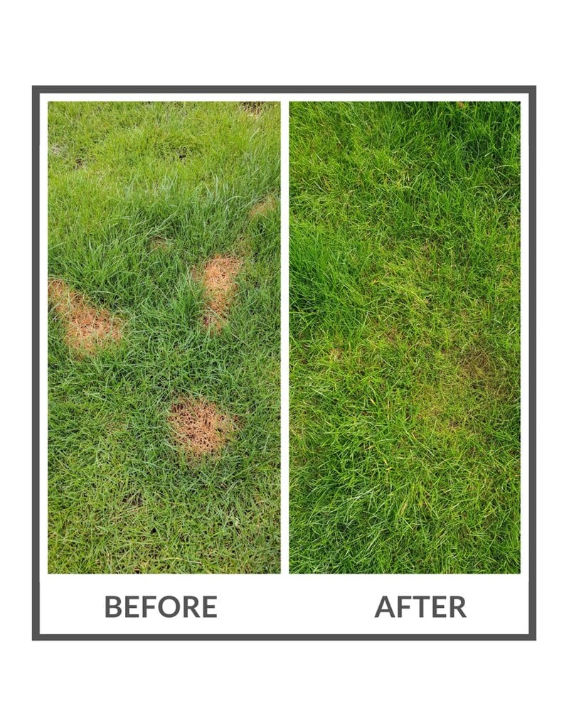 Dog Rocks Dog Rocks 200g