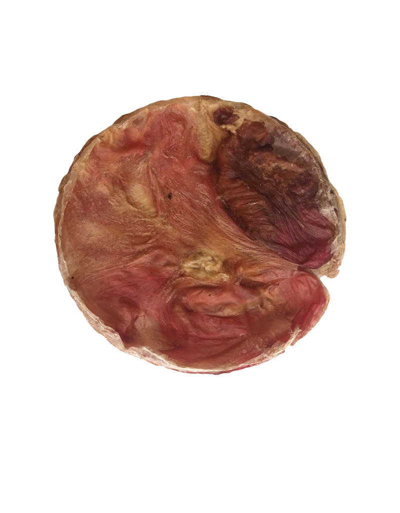 Open Range Furs-Bee Dehydrated Beef Bladder