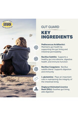 Four Leaf Rover Gut Guard 106g