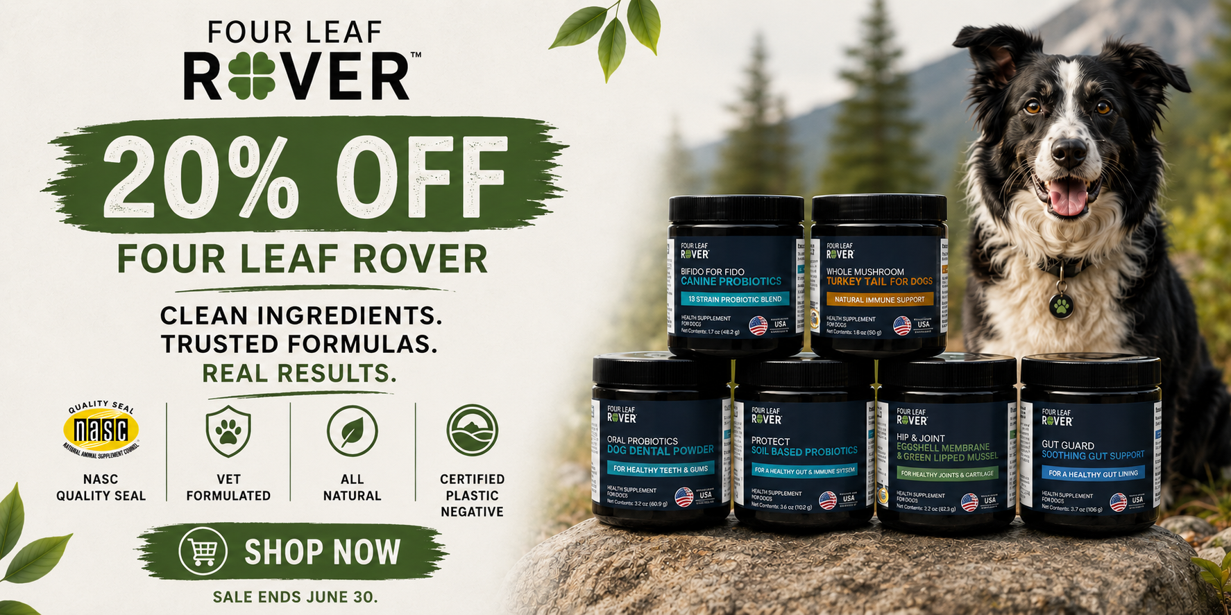 Four Leaf Rover 20% OFF