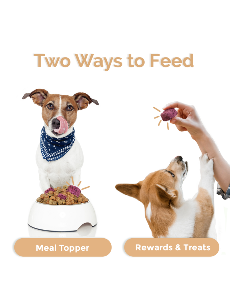 Loopy Paws Crispy Goat Yogurt Chunk – Blueberry – 30g