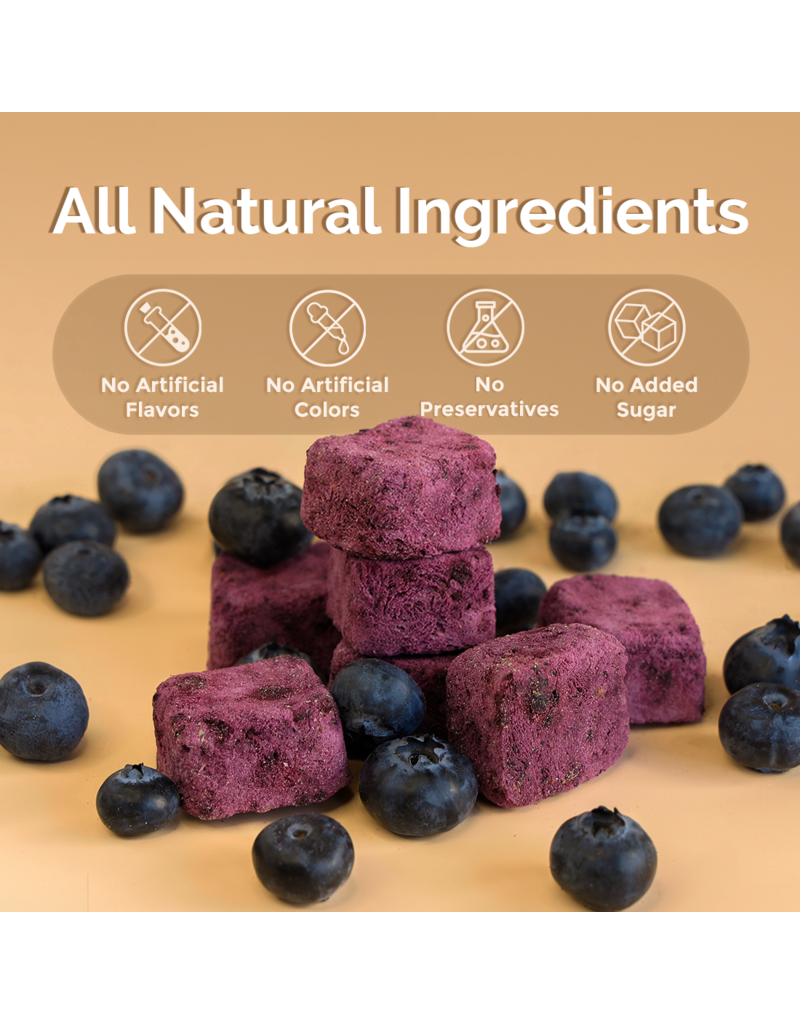 Loopy Paws Crispy Goat Yogurt Chunk – Blueberry – 30g