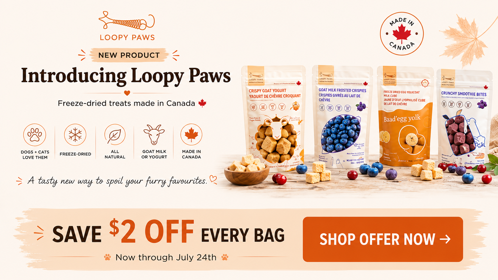 Loopy Paws Launch Offer