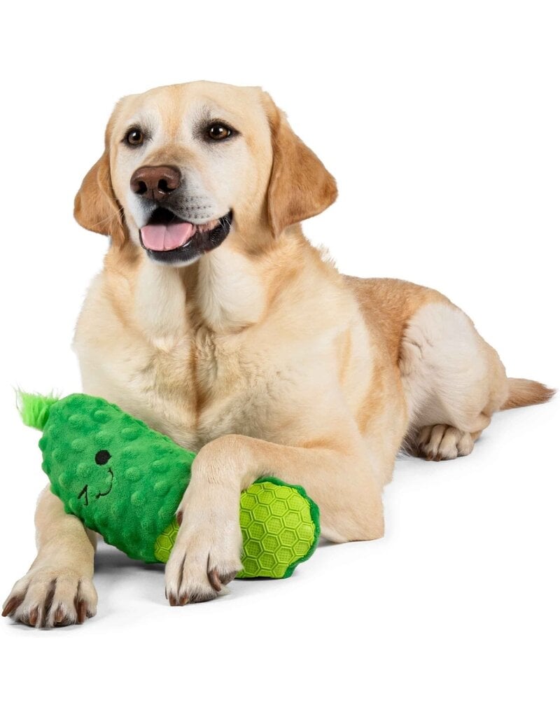 goDog Dillbert Pickle Large Dog Toy