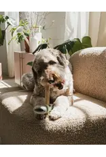 Dexypaws Bully Stick Holder Sage Green
