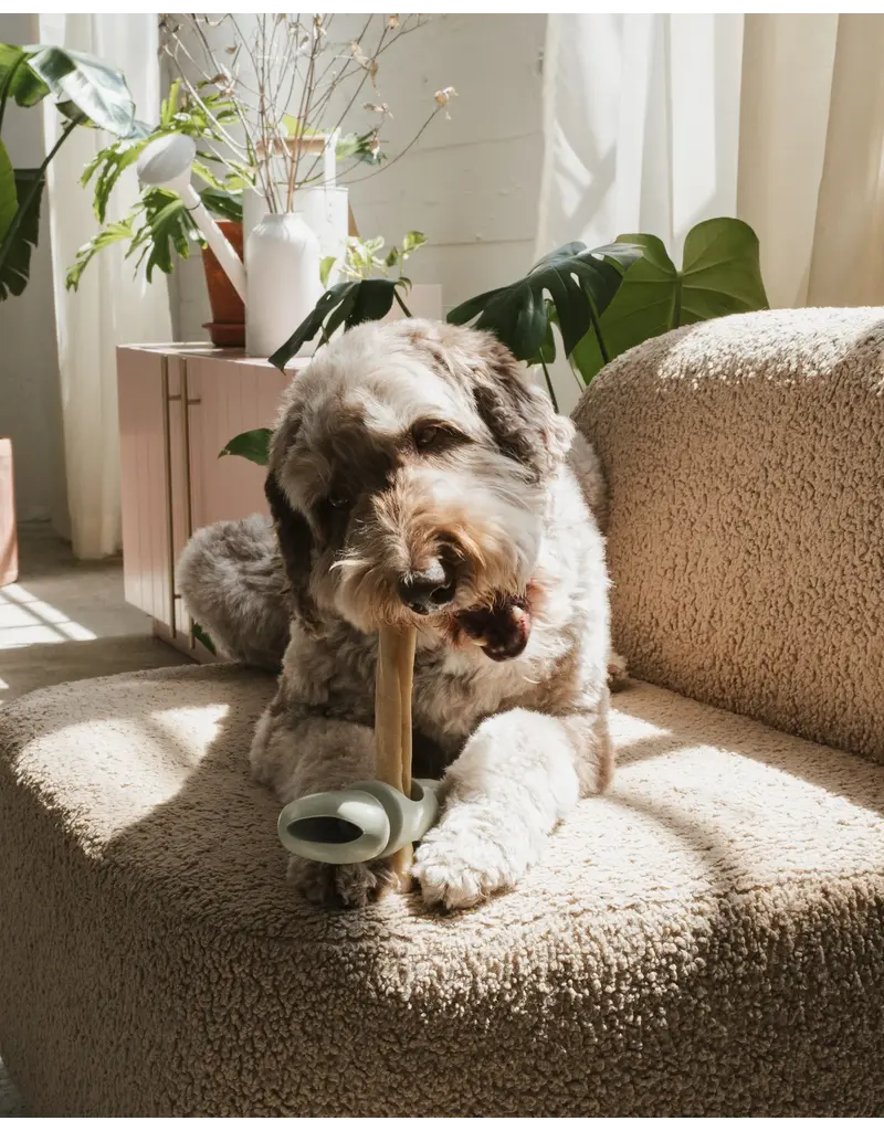 Dexypaws Bully Stick Holder Sage Green