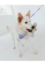 Dexypaws Bully Stick Holder Sage Green