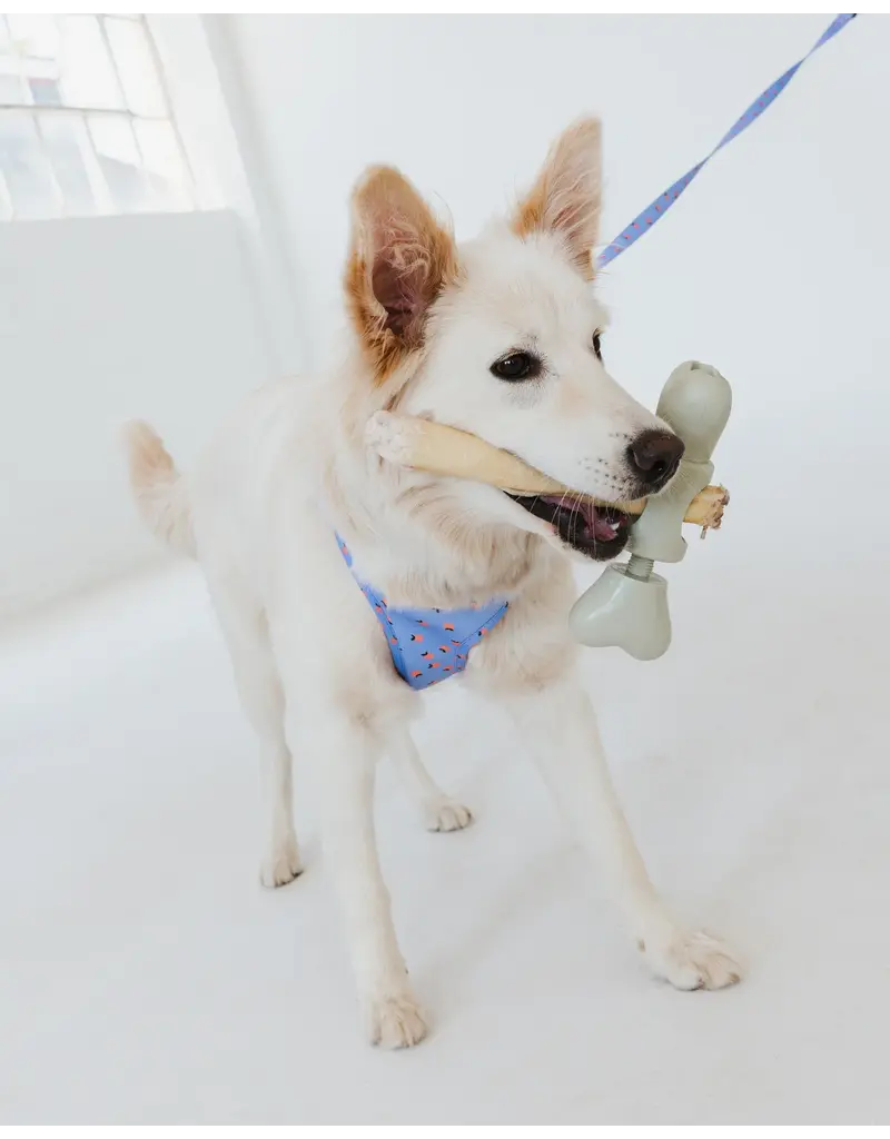 Dexypaws Bully Stick Holder Sage Green