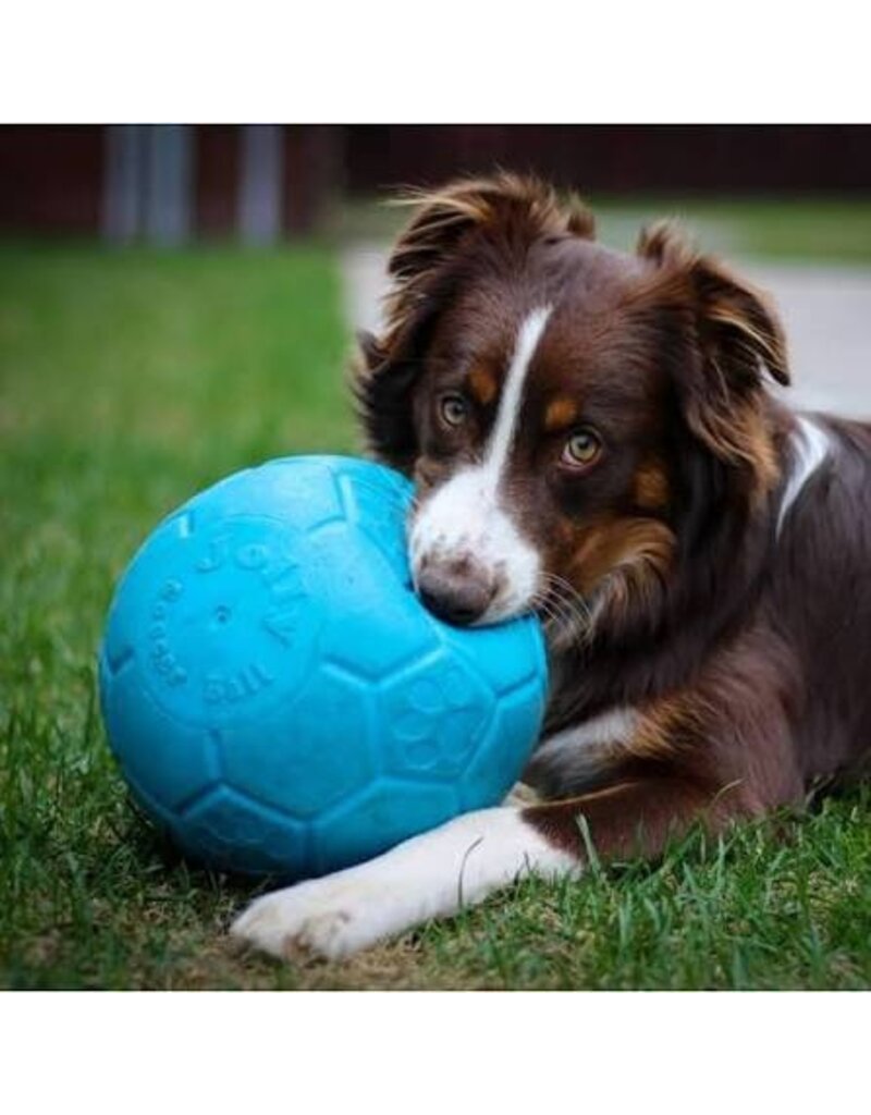 Jolly Pets Jolly Soccer Ball 8" Assorted