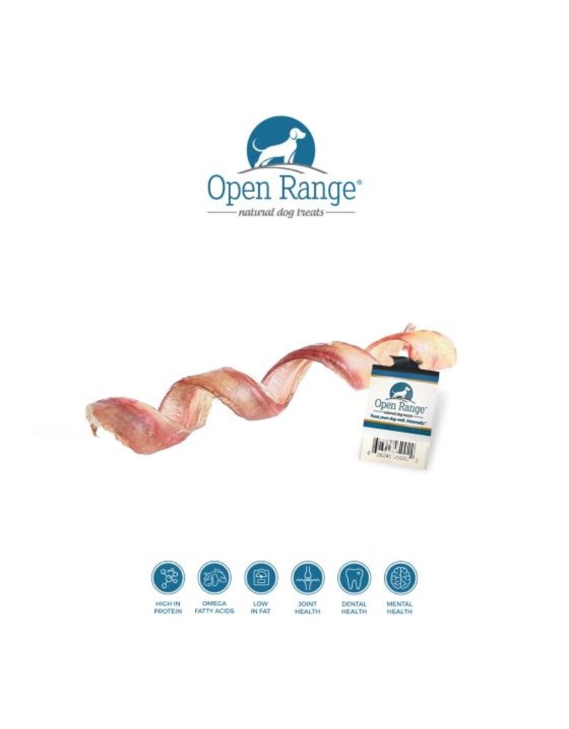 Open Range Bully Spring Dog 11-12in