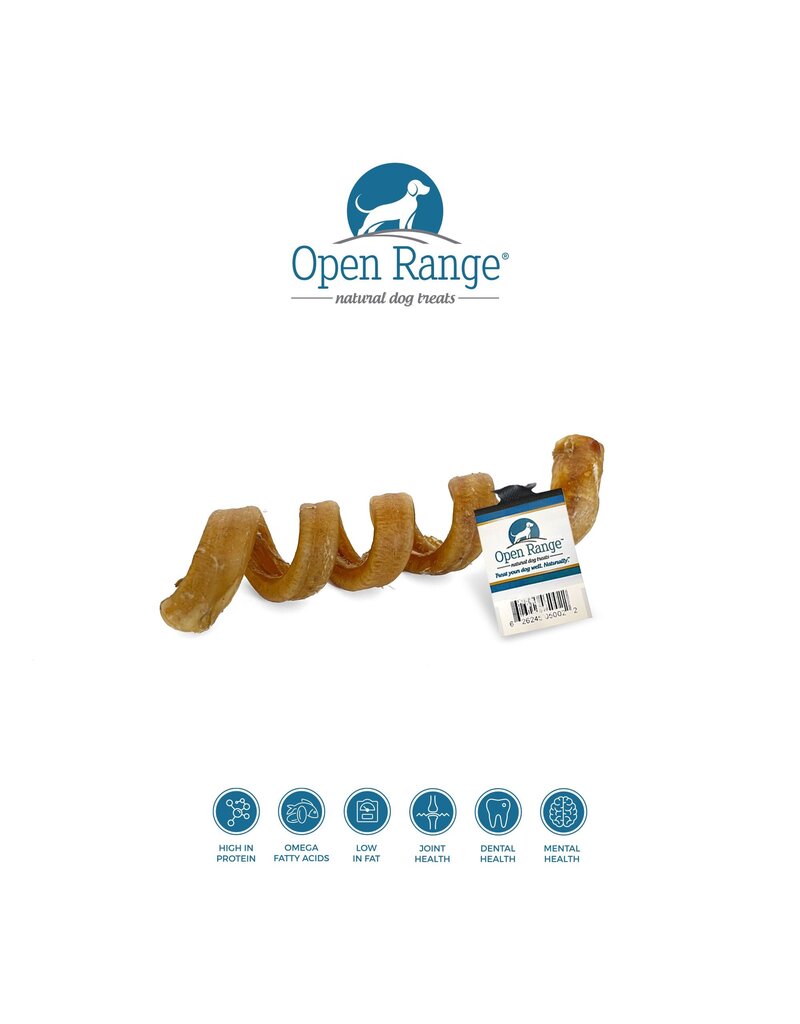 Open Range Water Buffalo Bully Spiral Dog  6-7in