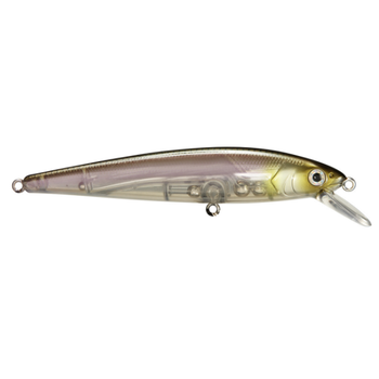 Strike King KVD Jerkbait 300 Clearwater Minnow