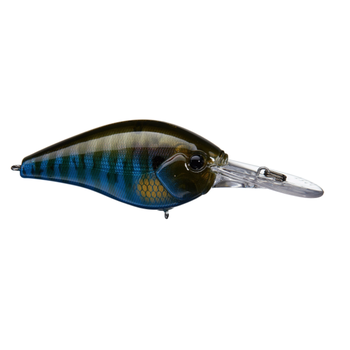 13 Fishing Cliff Banger 12 Rusty Bream