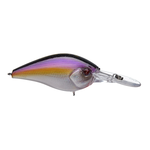 13 Fishing Cliff Banger 8 Purple Nurple