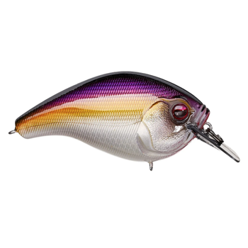 13 Fishing Scamp Squarebill Purple Nurple 3/4oz 2-3/4"