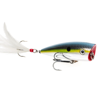 Strike King HC KVD Splash Popper 3" Chrome Sexy Shad