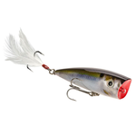 Strike King HC KVD Jr Splash Popper 2-1/4" Natural Shad