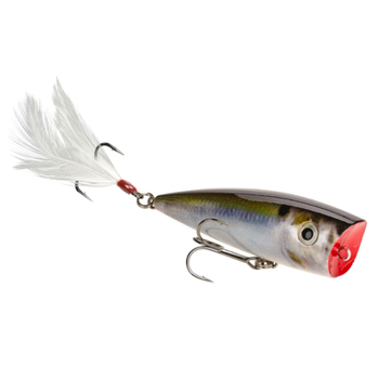 Strike King HC KVD Jr Splash Popper 2-1/4" Natural Shad