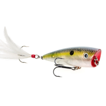 Strike King HC KVD Jr Splash Popper 2-1/4" Clear Ghost Sexy Shad