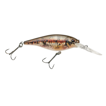 Berkley Flicker Shad. 3" 1/3oz HD Blacknose Dace
