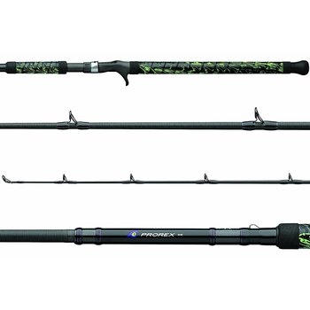 daiwa 2021