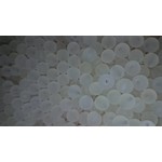 Creek Candy Beads 8mm Frosty Pina Colada #106