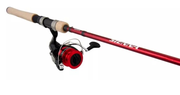 Shimano Sienna 2500HG 6'6M Spinning Combo. 6-14lb 2-pc - Gagnon Sporting  Goods