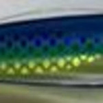 Apex A6 5.5" Colour 558R