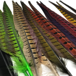 Wapsi 1 Pair Ringneck Tail Feathers