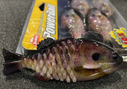 Rapala BX Jointed Minnow Yellow Perch 3-1/2 - Gagnon Sporting Goods