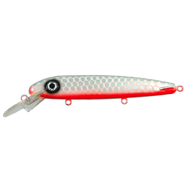 ERC Double D 9" Hot White Fish