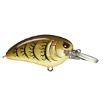 Spro Little John MD Green Pumpkin 7-9'