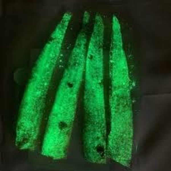 Big One Bait Company Company Frozen Alewife Strips Glow. 4pk