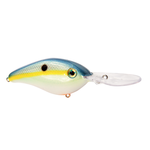 Strike King Pro Model 6XD Crankbait Chart Sexy Shad