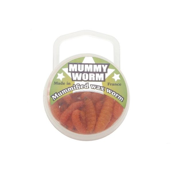Euro Tackle Mummy Worm Orange 35-pk