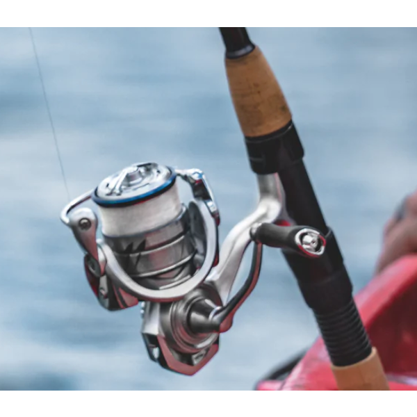 Daiwa Procyon MQ LT Spinning Reels - American Legacy Fishing, G Loomis  Superstore
